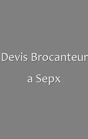 Devis Brocanteur a Sepx