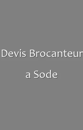 Devis Brocanteur a Sode