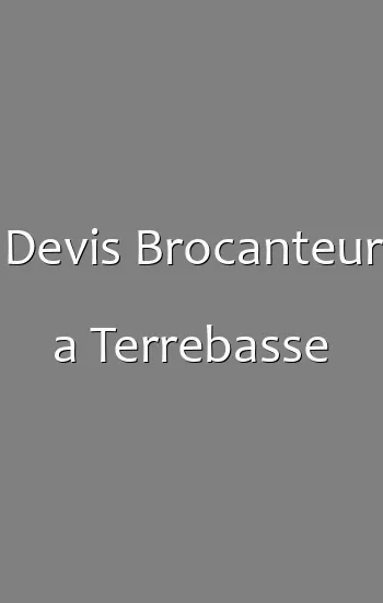 Devis Brocanteur a Terrebasse