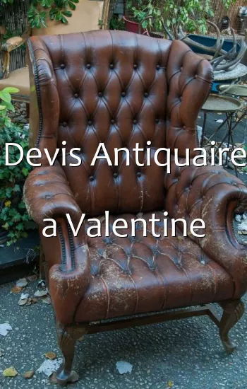 Devis Antiquaire a Valentine
