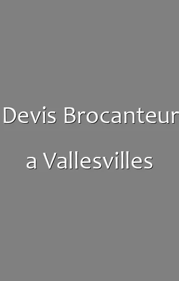 Devis Brocanteur a Vallesvilles