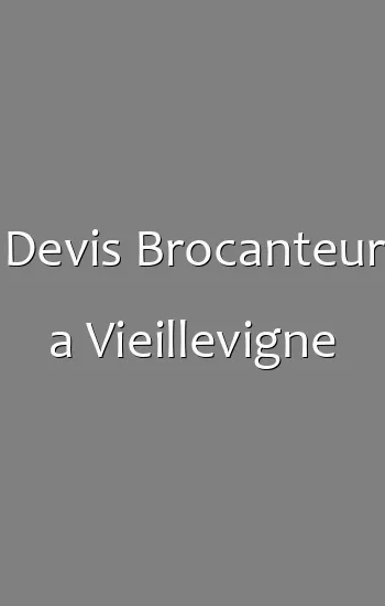 Devis Brocanteur a Vieillevigne