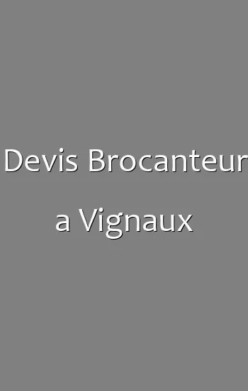 Devis Brocanteur a Vignaux