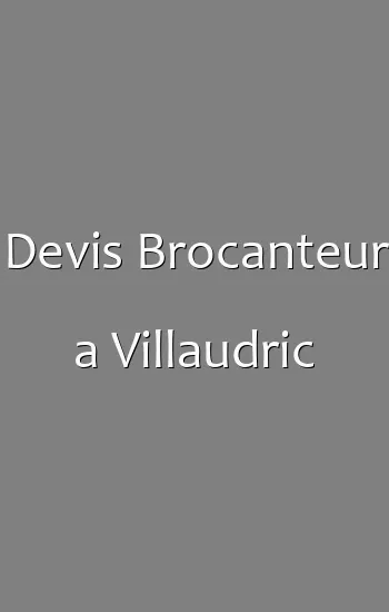 Devis Brocanteur a Villaudric