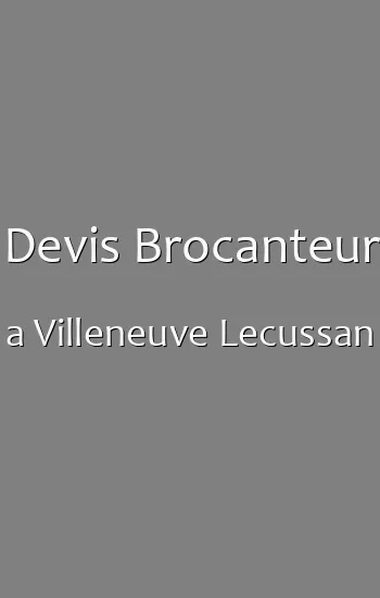 Devis Brocanteur a Villeneuve Lecussan