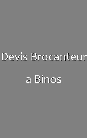 Devis Brocanteur a Binos