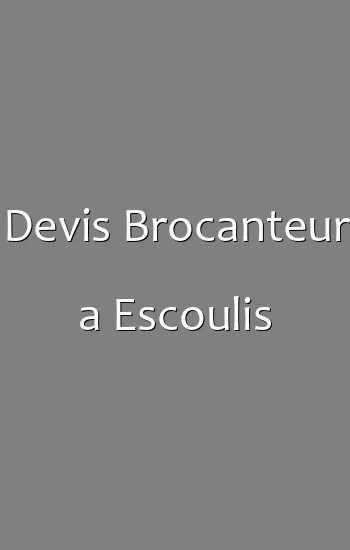 Devis Brocanteur a Escoulis