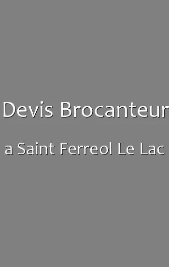 Devis Brocanteur a Saint Ferreol Le Lac